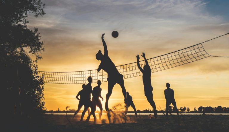 The Hidden Economy of Betting: Where Does All the Money Go?